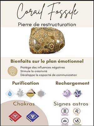 CORAIL FOSSILE