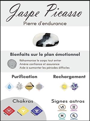 JASPE PICASSO