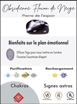 OBSIDIENNE FLOCON DE NEIGE