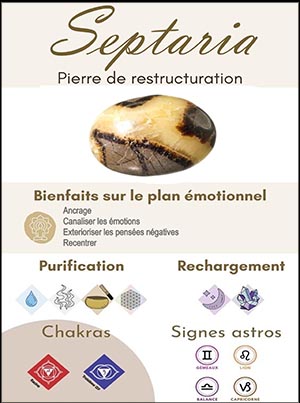 SEPTARIA